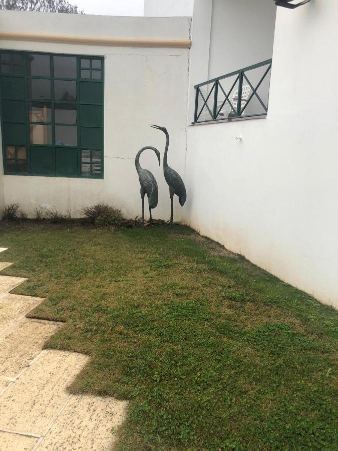 Hotel Castelo De Vide Bagian luar foto